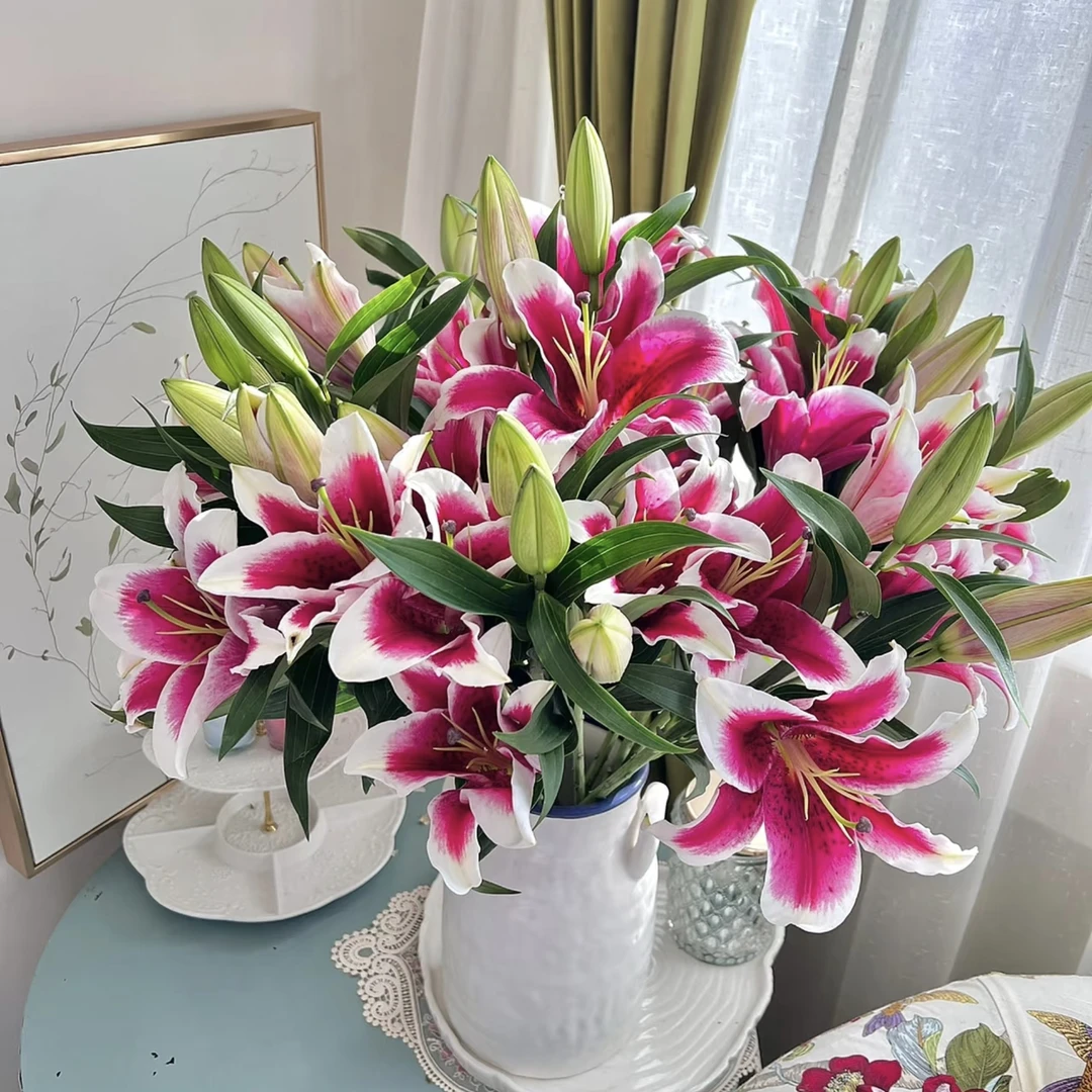多头国王香水百合鲜花【0下拍保温，否则冻坏不售后】