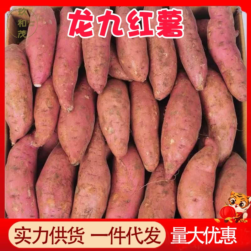 板栗红薯蜜薯整箱新鲜小番薯批发包邮农家黄心地瓜非西瓜红
