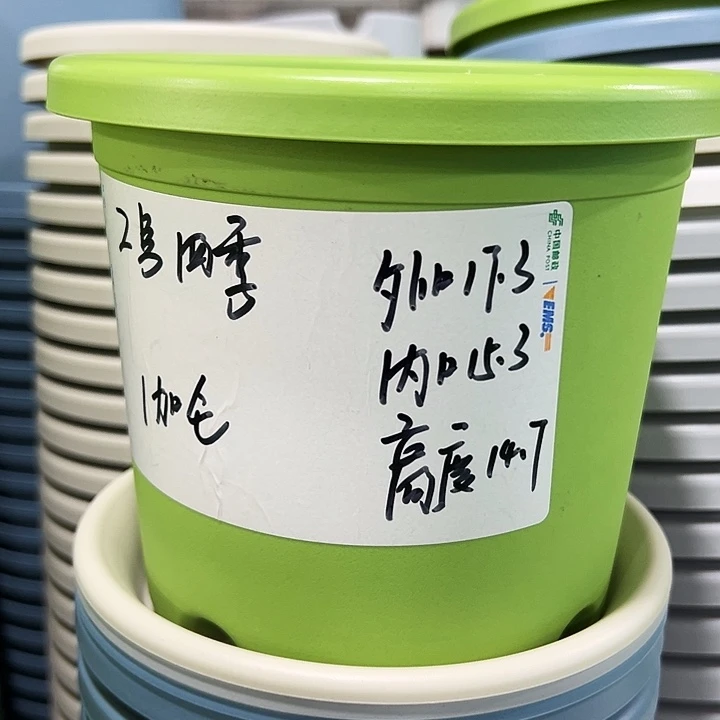 特价四季2号口17高14白色10只无托