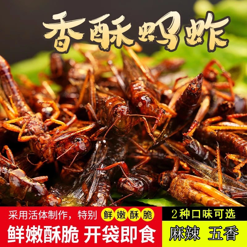 飞蝗腾达【香酥蚂蚱】蝗虫油炸即食麻辣酥脆零食小吃下酒菜昆虫熟食