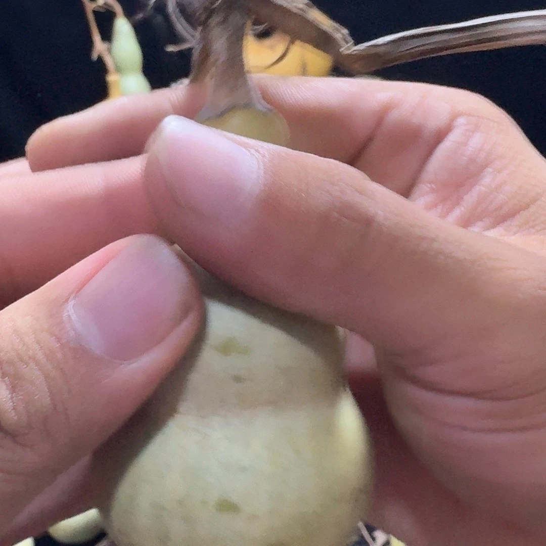 柒**柒定向定向定向定向