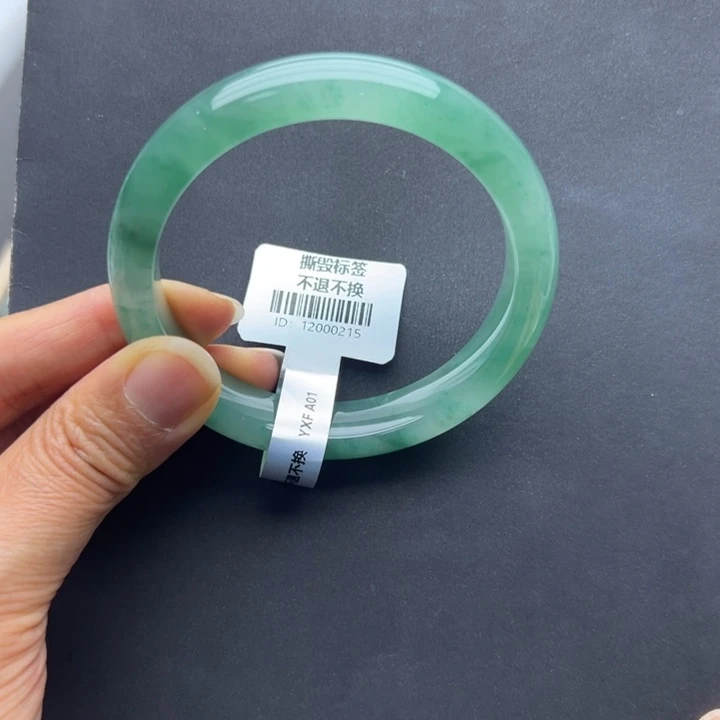 石英质玉未镶嵌手镯燕子➕59.5