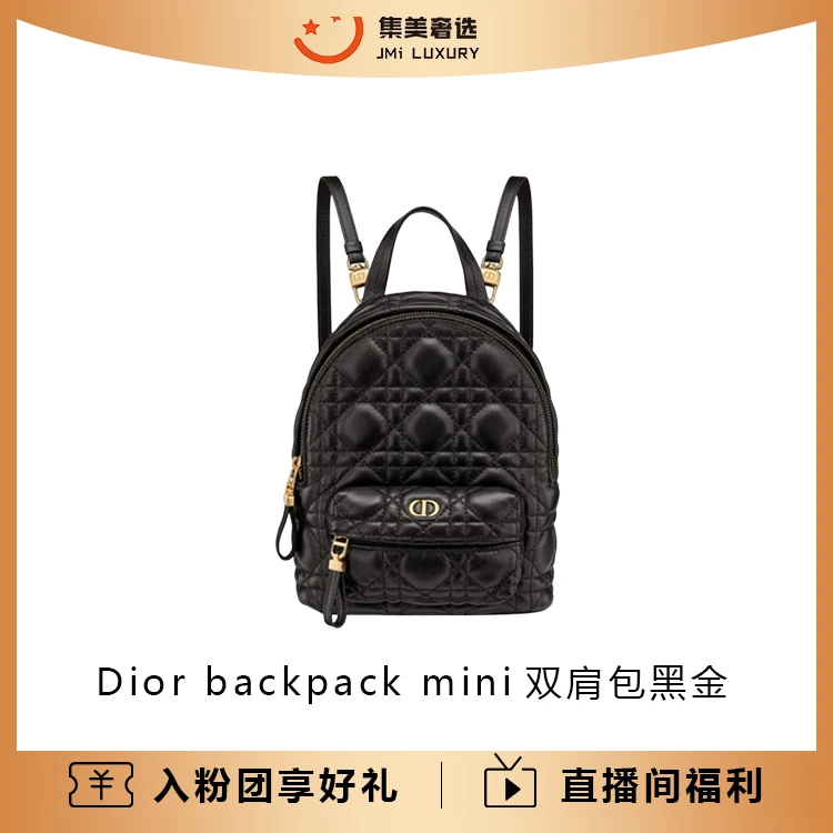 99新 DIOR/迪奥 Dior backpack mini双肩包黑金/AM8479代卖服务