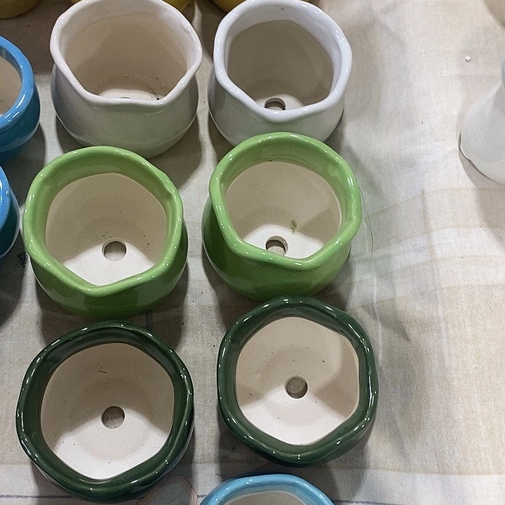 花盆抢购清货马上开始