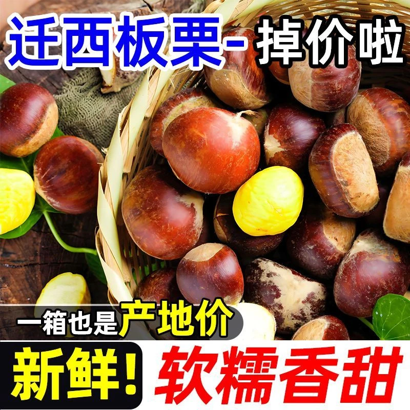 【新鲜去壳板栗】云南高山头茬红壳板栗新鲜带壳生吃脆甜大果直发