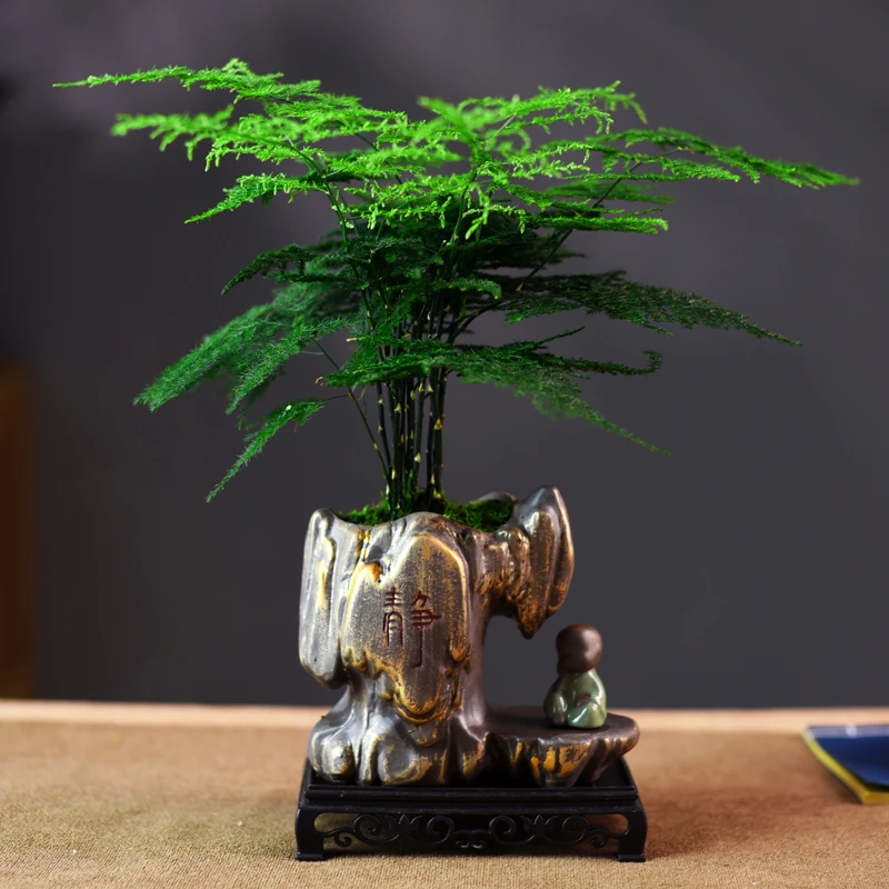 文雅之竹盆景盆栽中式意境高端美观室内客厅茶桌办公室好养