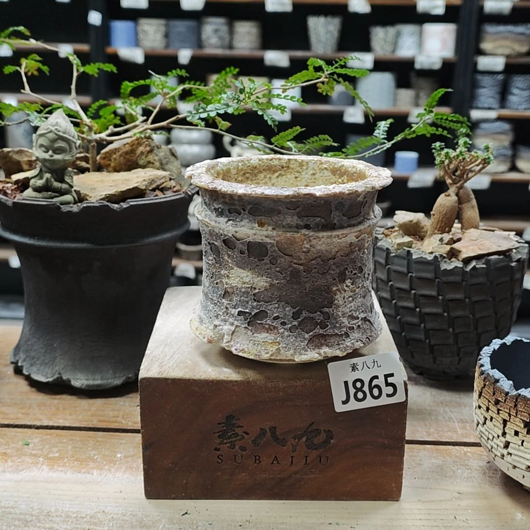 瓷素八九陶瓷内口9.5高10.5