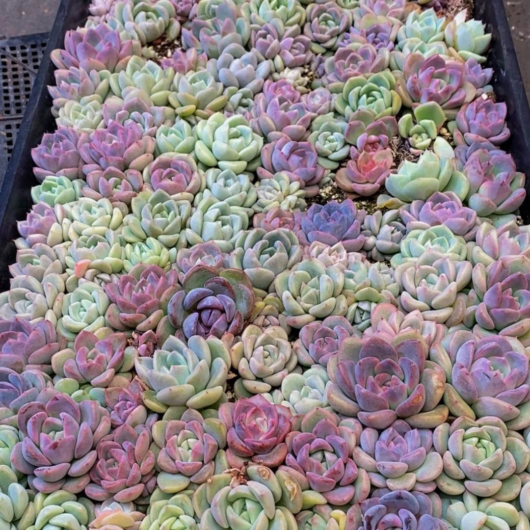 h****h754的人在一起的时候我