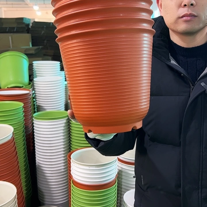 正品高陶口21高21陶红色6只无托