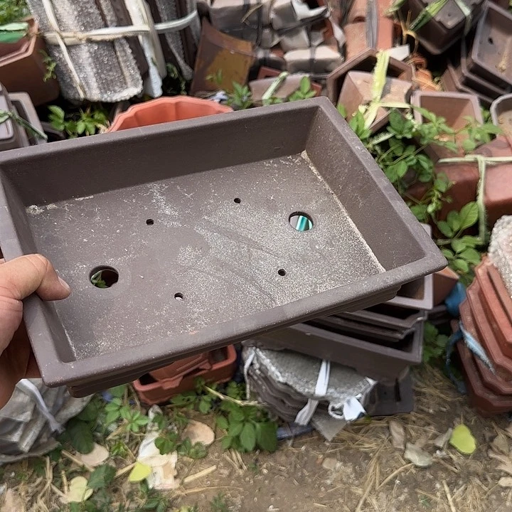 你是怎么说出这个的吗