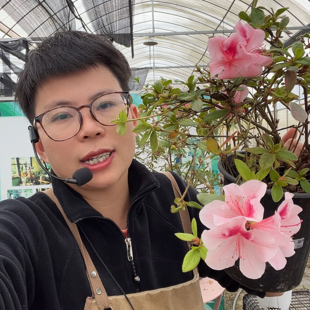 完全开放纺稠一加仑