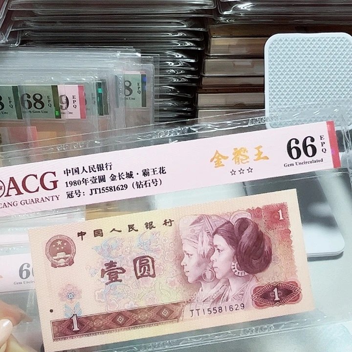 15581629。。。。生日号 金龙王