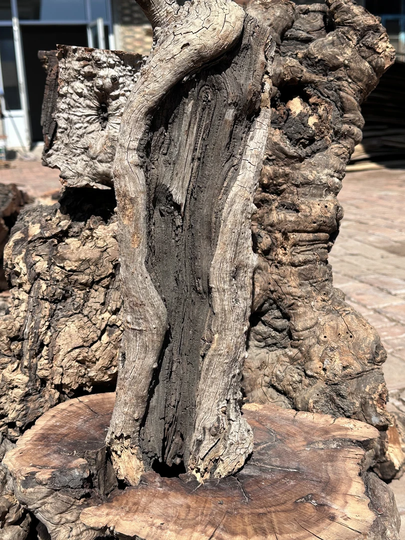 四号链接 75-200 雷击木专用 以直播为准