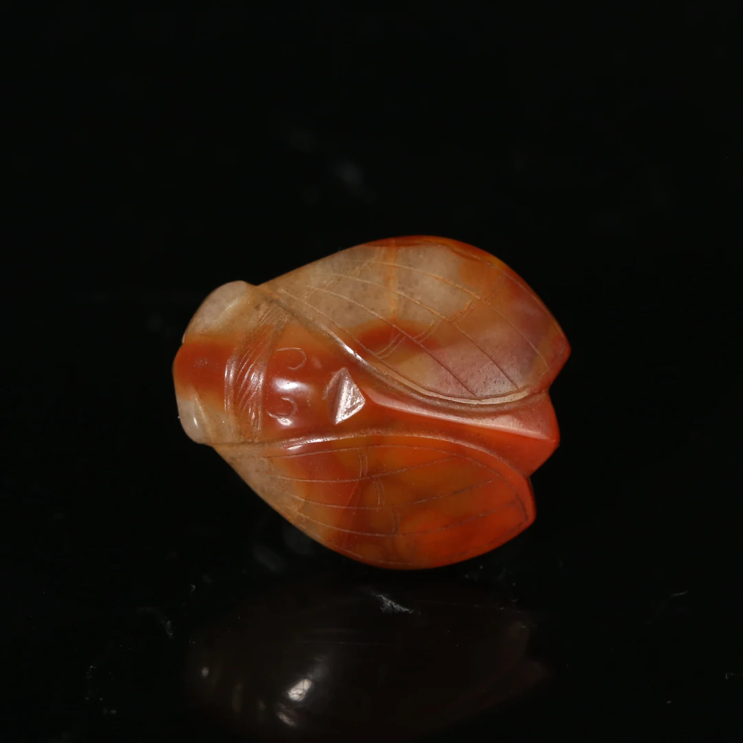 明代战国红玛瑙蝉型佩WDZC2512131008