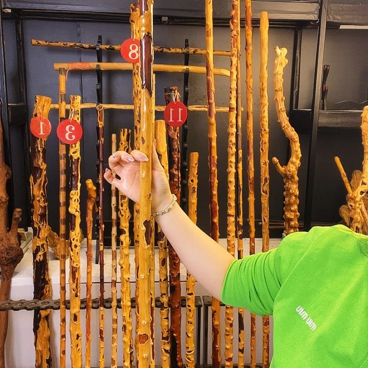 鹏*海好好好看好好好好