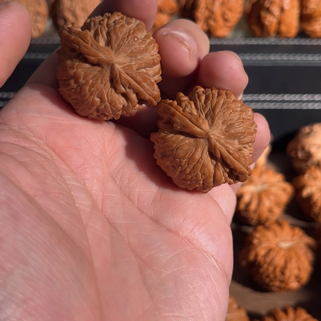 手串/手链核桃37全品毕业闷白