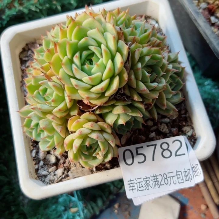 幸运的是我没有遇到过这样