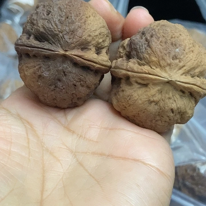 木质类云南铁核桃基地13