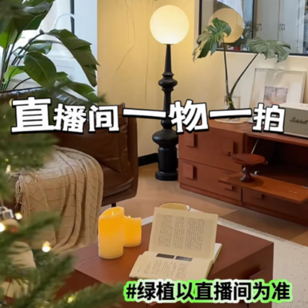 【一物一拍】室内室外高端网红大型鲜活绿植