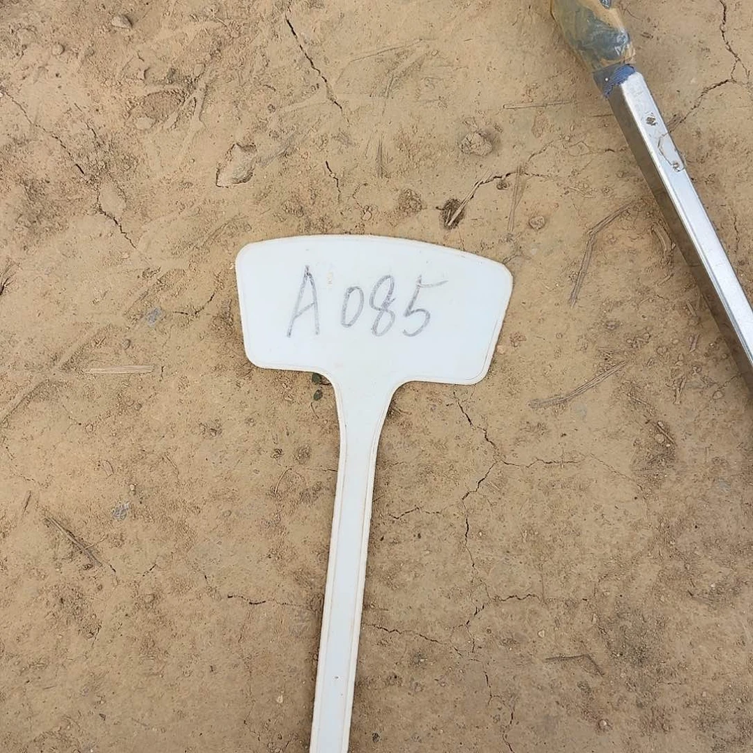 A085,混色毛5个，4cm瑕疵歪头