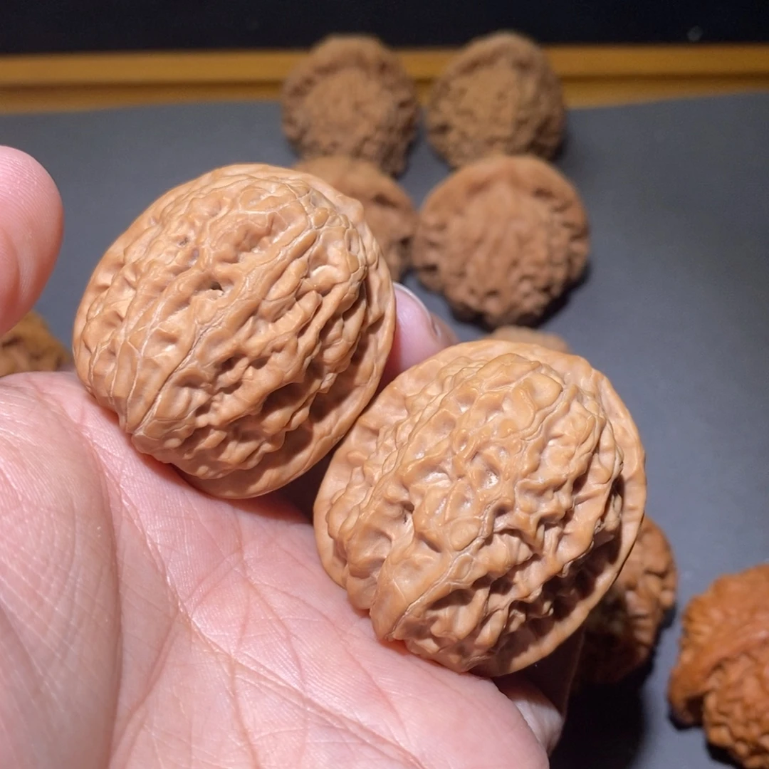 木质37原树霸王全品