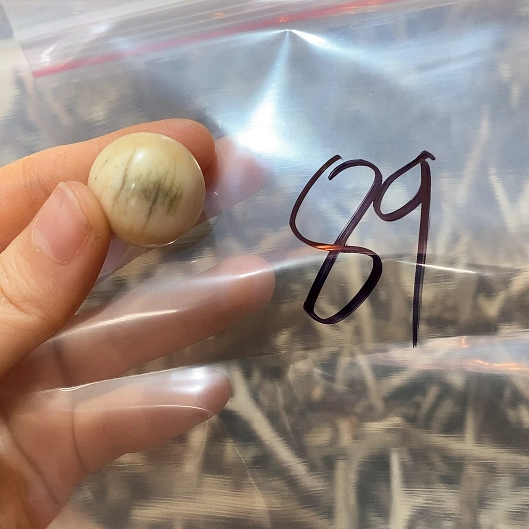 鹿角鹿角鹿角鹿角