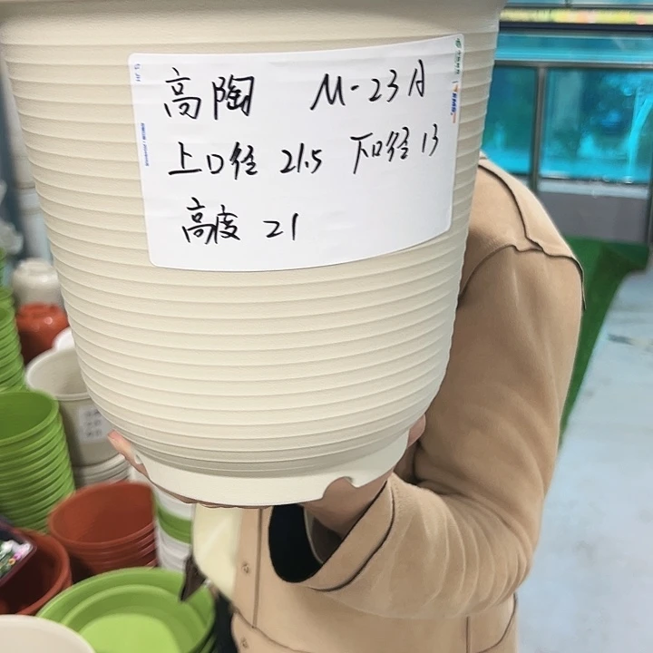 正品高陶口21高21混色无托6支