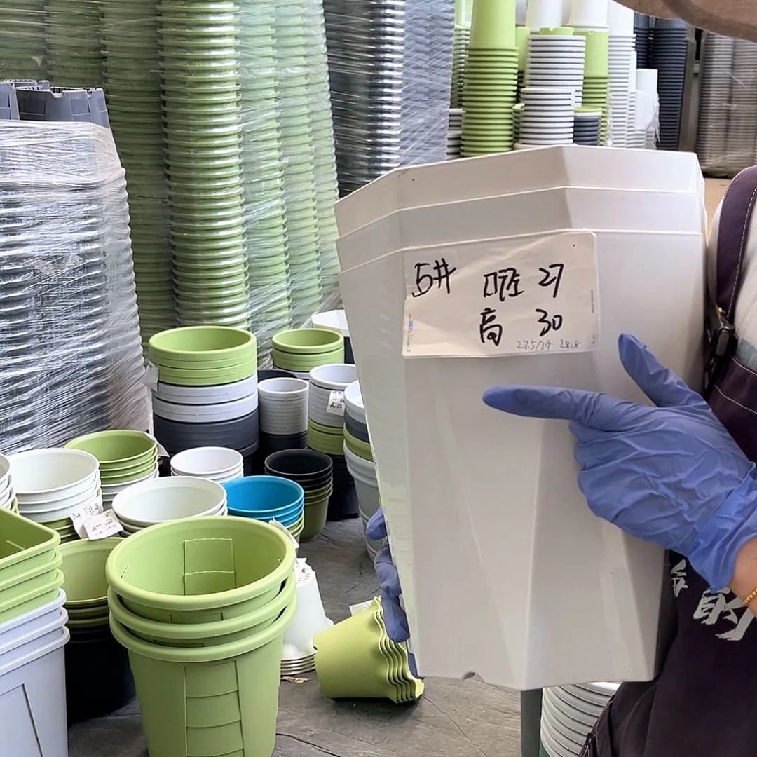 钻石5#象牙白色3个含托