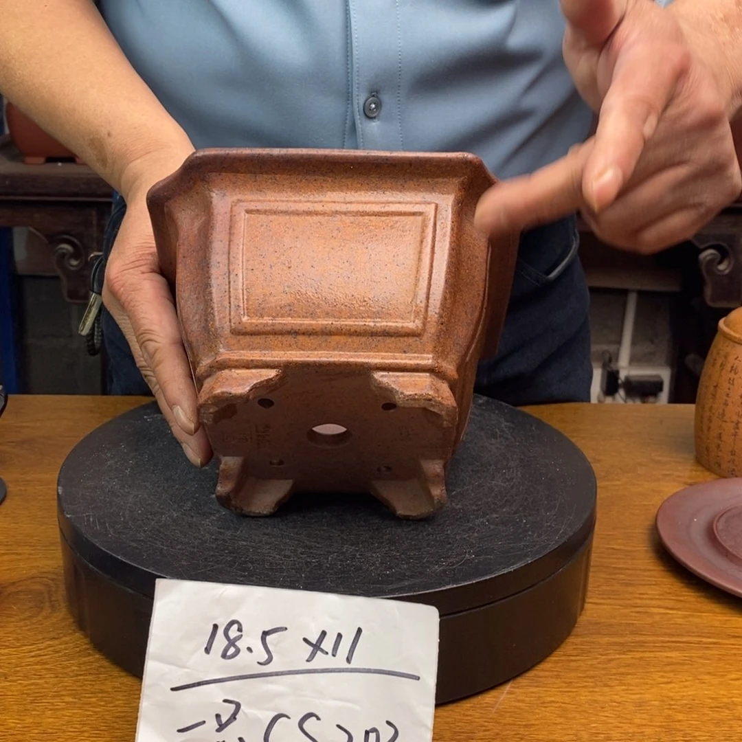 红陶货号一只CS203四方