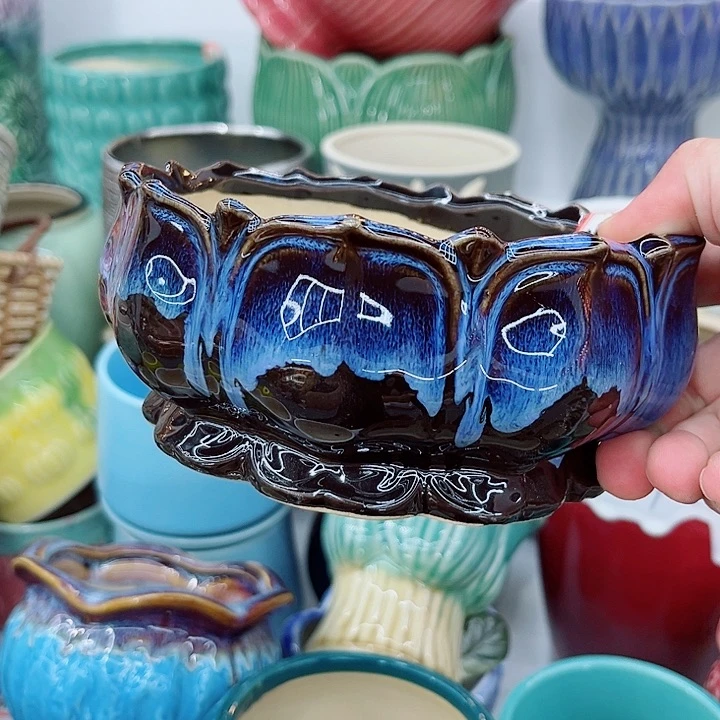 多肉植物陶瓷花盆