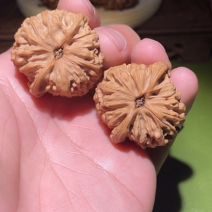 手串/手链橄榄核37精品太行龙纹