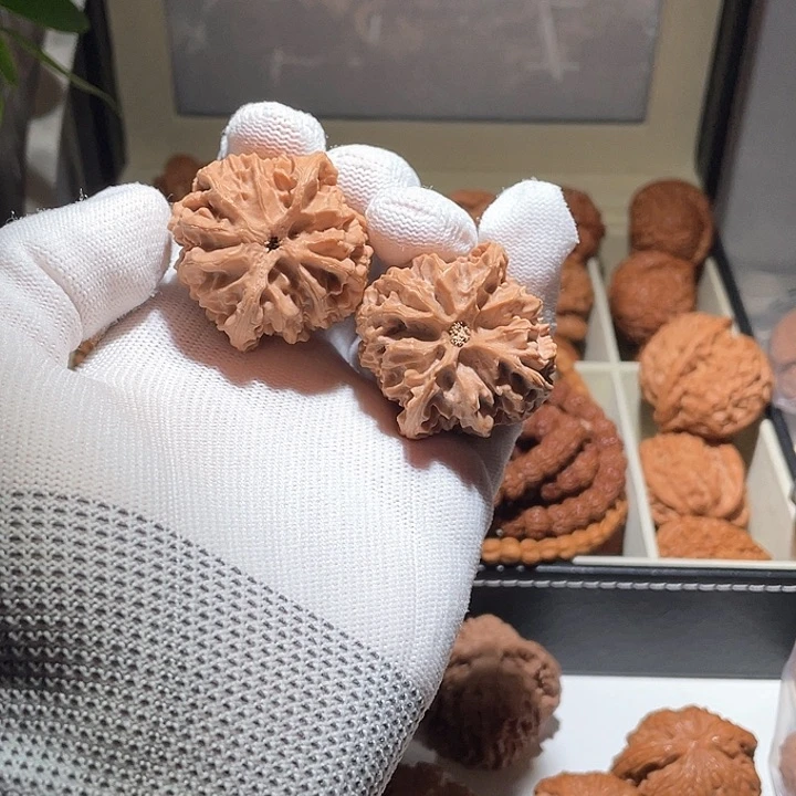 人****全40全品无修蓟县平果