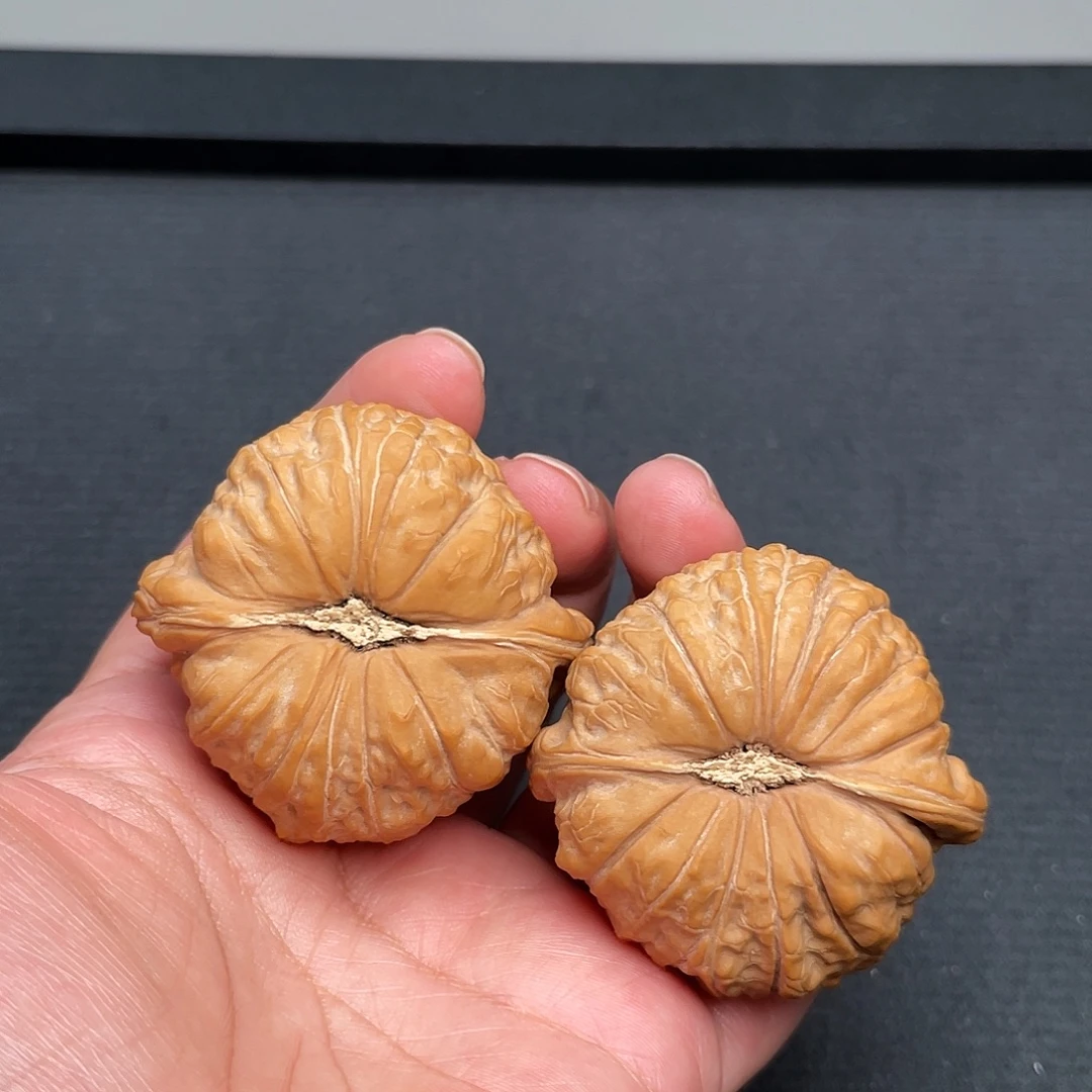 把件猴头核桃48×47全品头茬南瓜墩XM1038