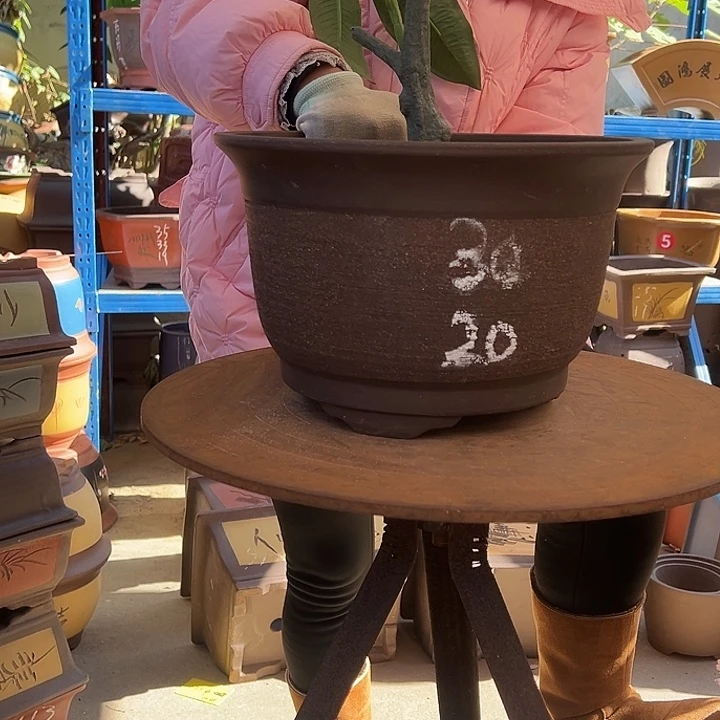 30拉毛小马花盆花盆