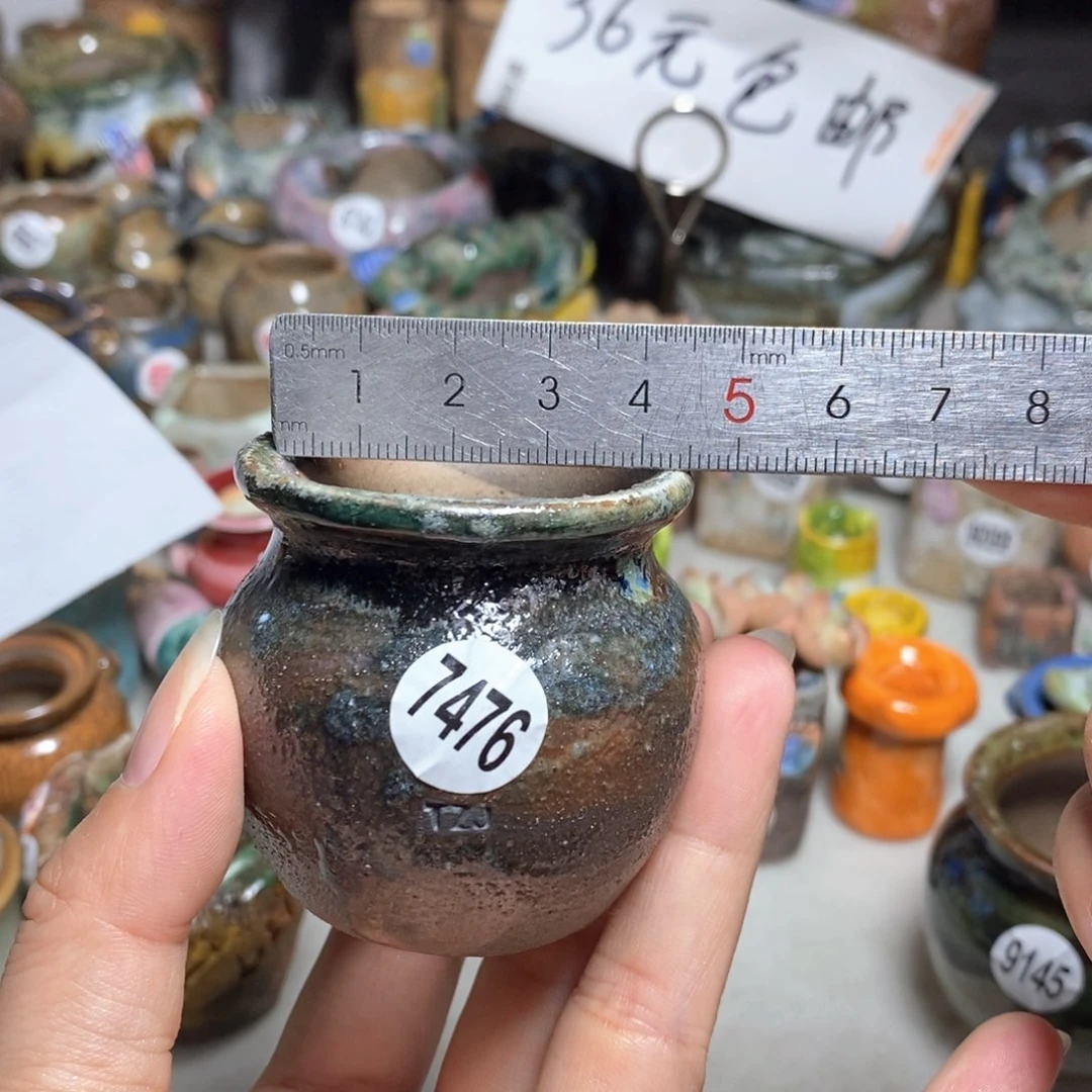 拍5送一个小礼物