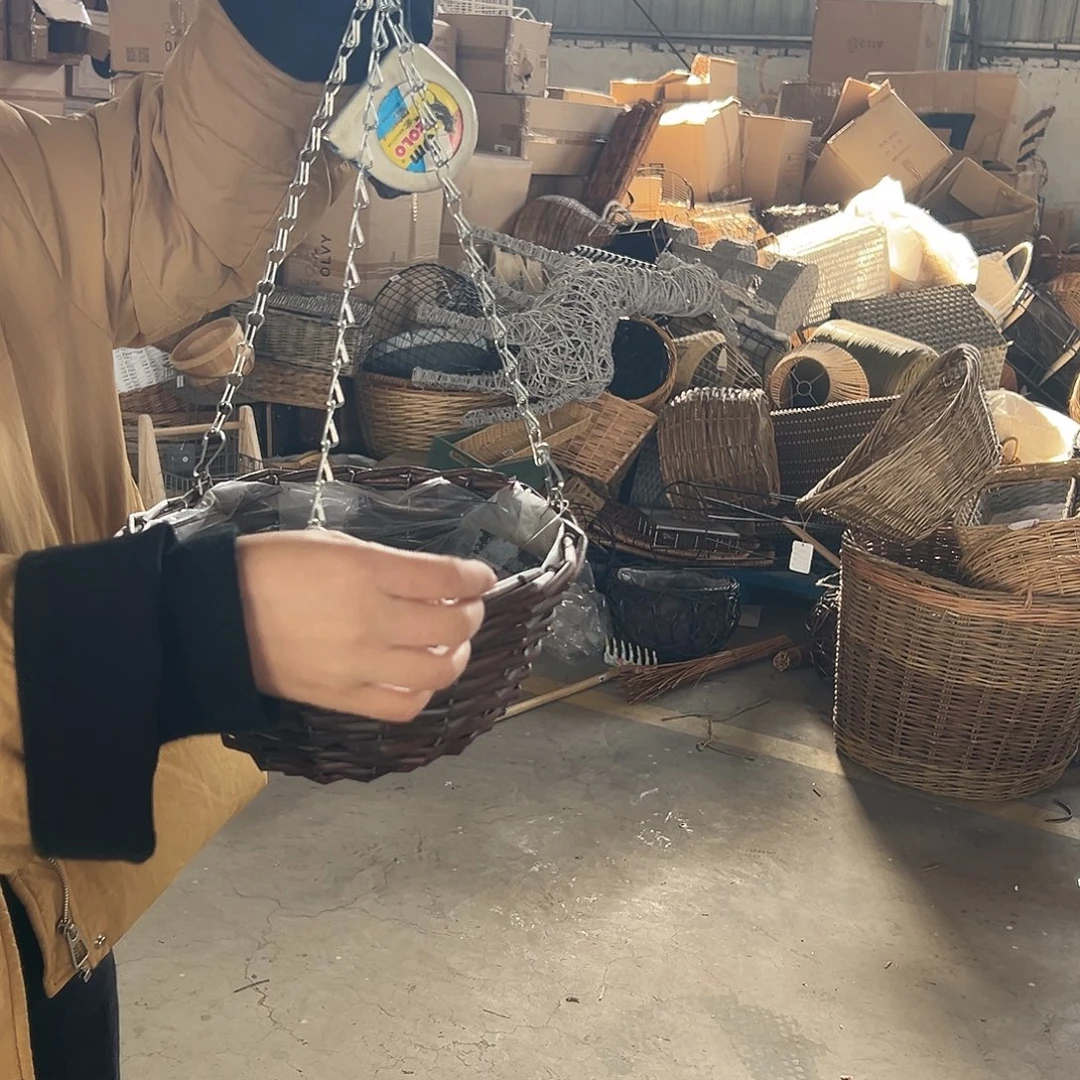 抖音直播福利一个吊兰