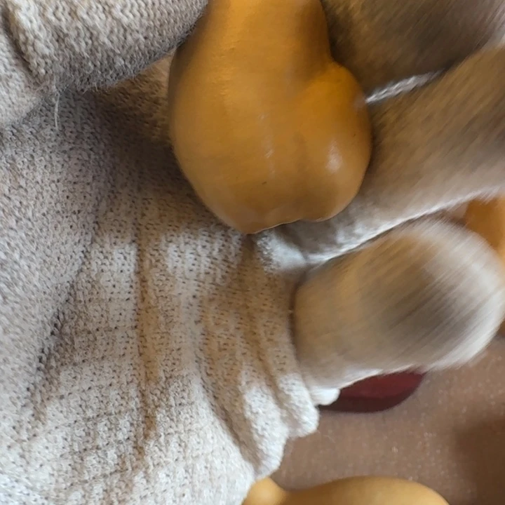 相***伴葫芦111111111111