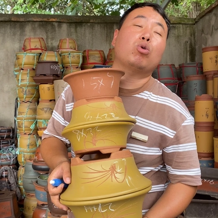 紫砂花盆盆栽植物花卉苗木种植