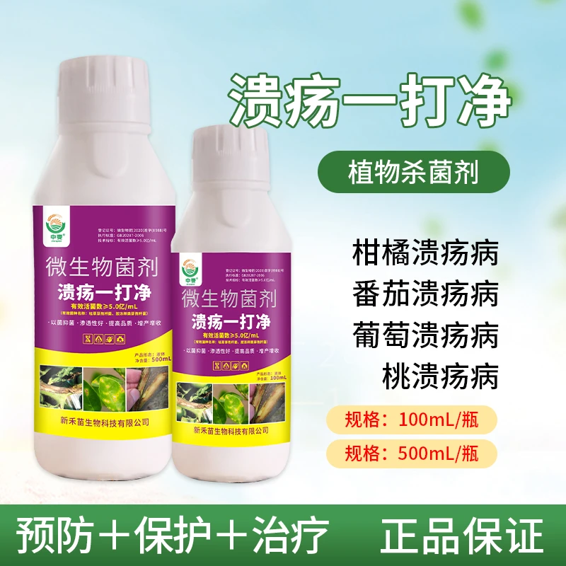 柑橘番茄溃疡病专用剂防治腐烂疮痂砂皮病微生物用药
