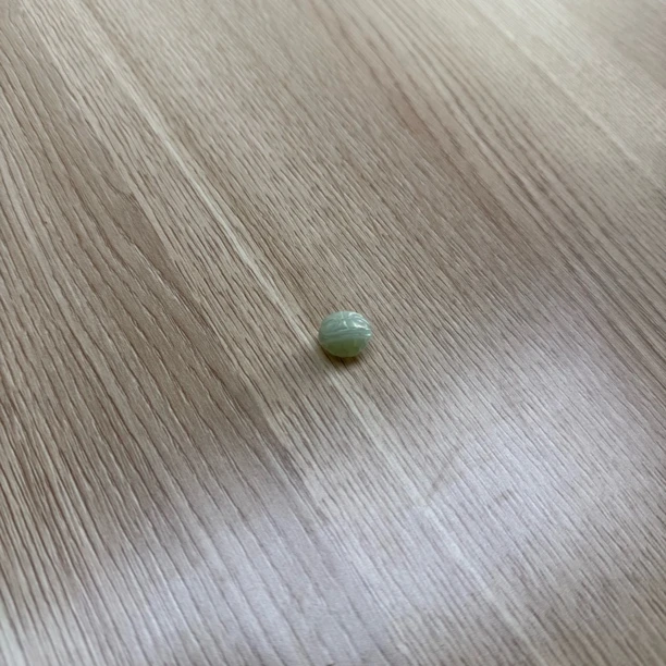 天然和田玉龟甲ZP勿拍