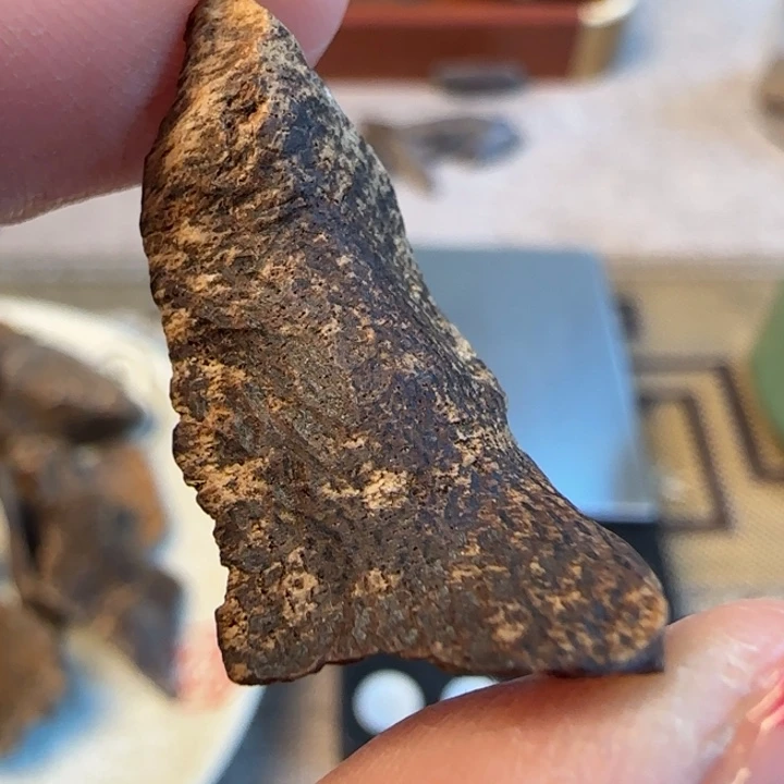 摆件沉香海南野沉水包头0.7克