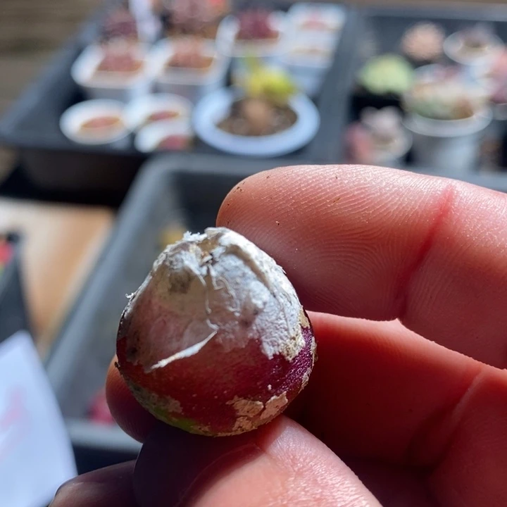 22266一个一个一个