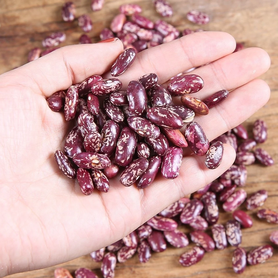 云南花芸豆(酸汤)粗粮花豆云南特产