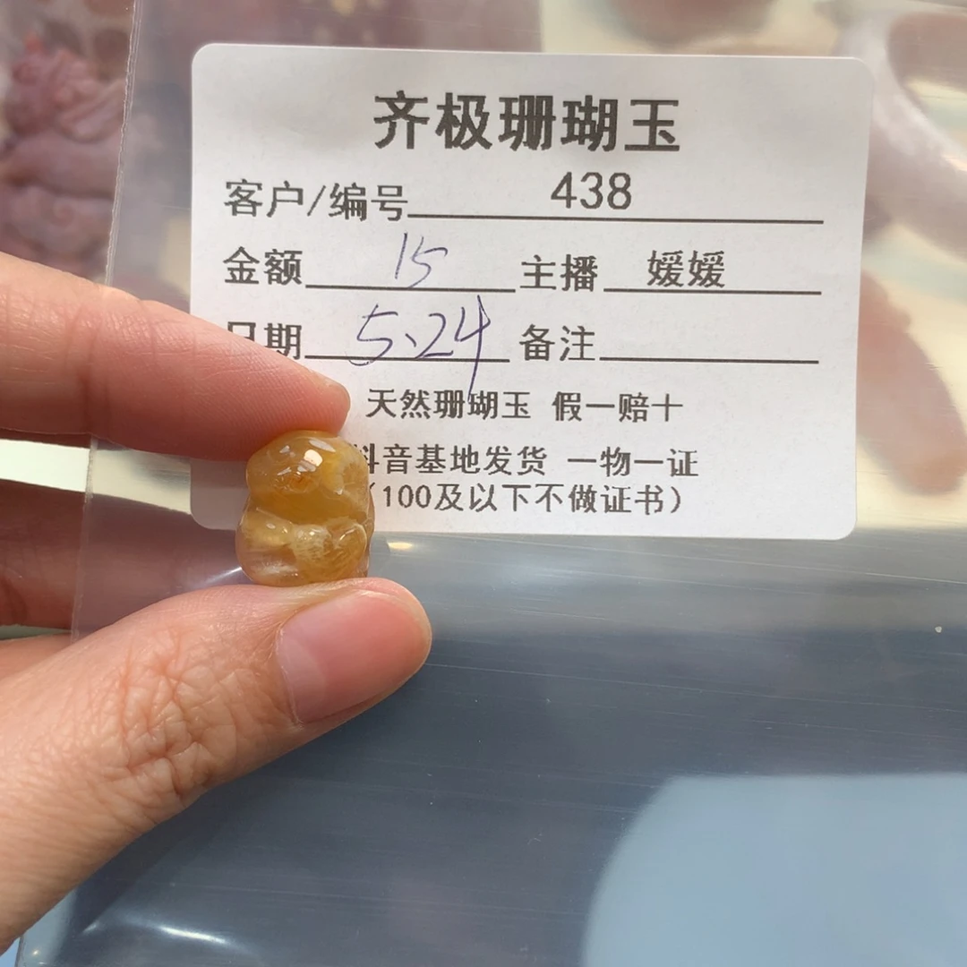 硅化珊瑚（珊瑚玉）未镶嵌颈饰邱*