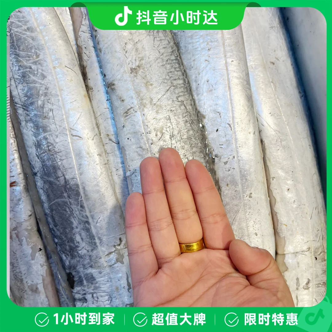 【米级带鱼】450克左右/斤