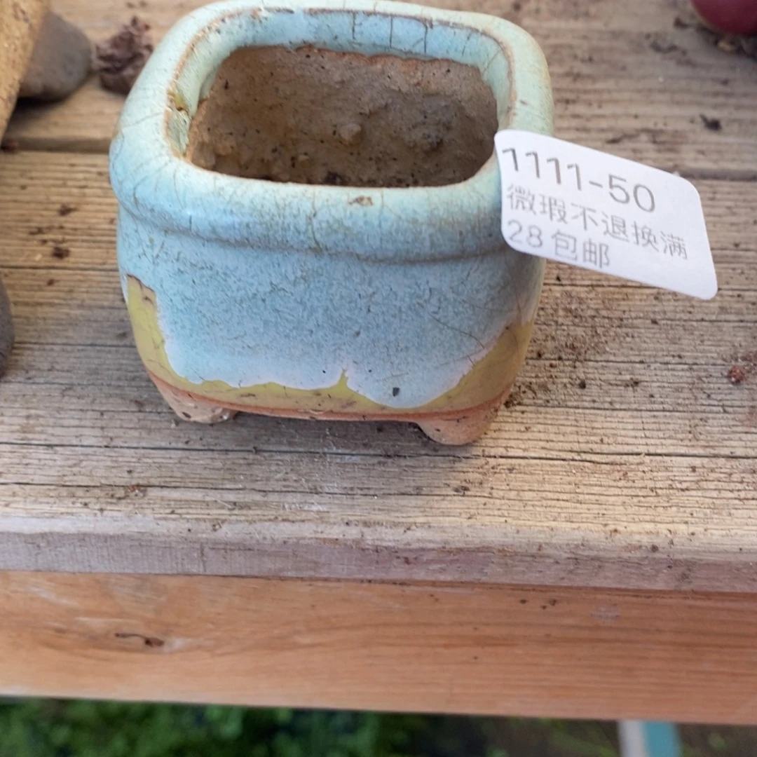 50号多肉盆口径4小可爱