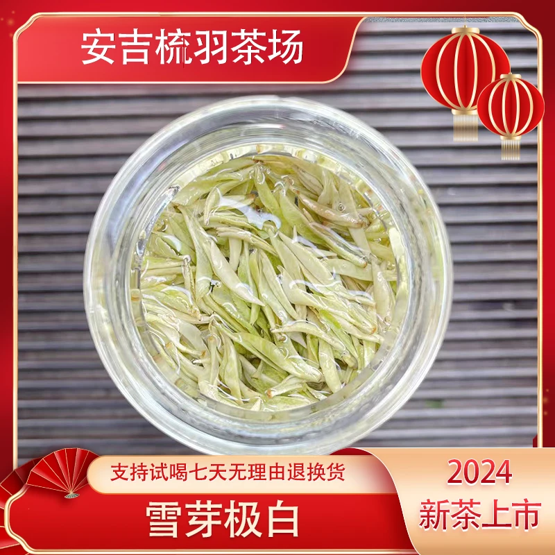 【雪芽极白】2024新茶正宗原产地昆铜茶叶优质新安四号