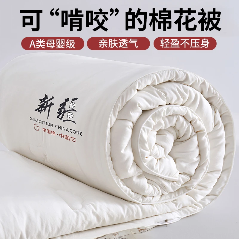新疆被子秋冬款家用冬被被芯棉被空调被冬季加厚保暖棉花被春秋被