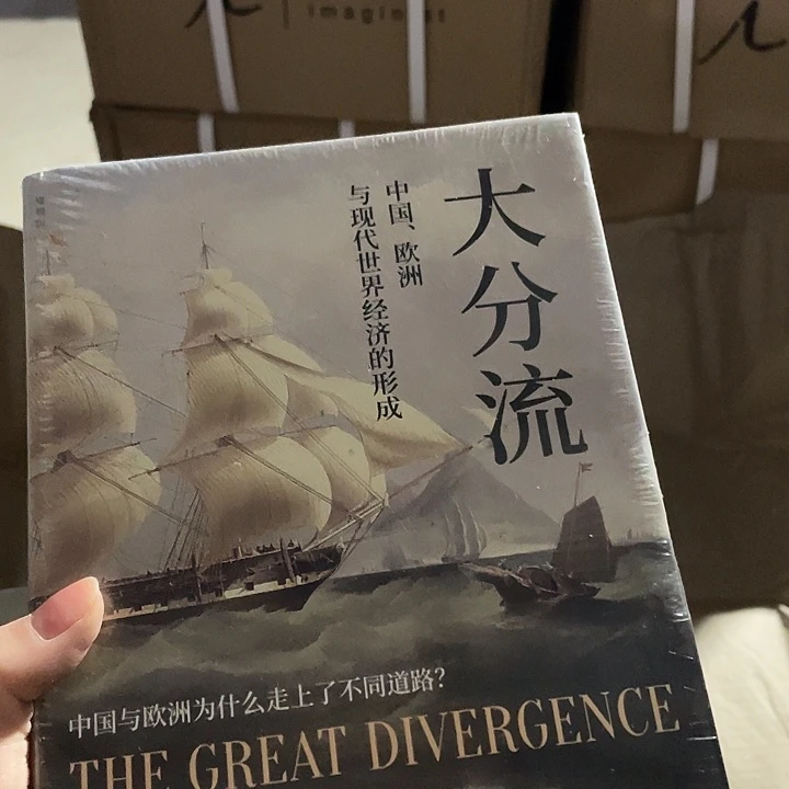 大分流：微瑕微瑕微瑕