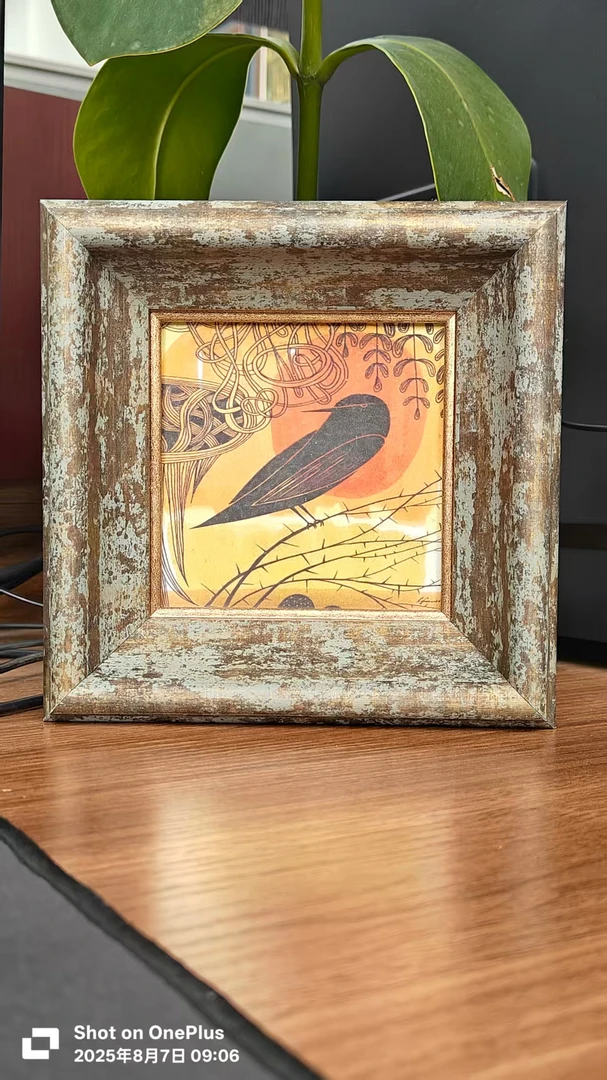 照片/油画15*15带框 桌面摆件